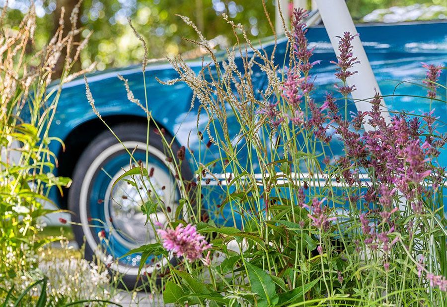 Paul Pritchard Melbourne International Flower & Gardens Show 2025 – Nostalgia