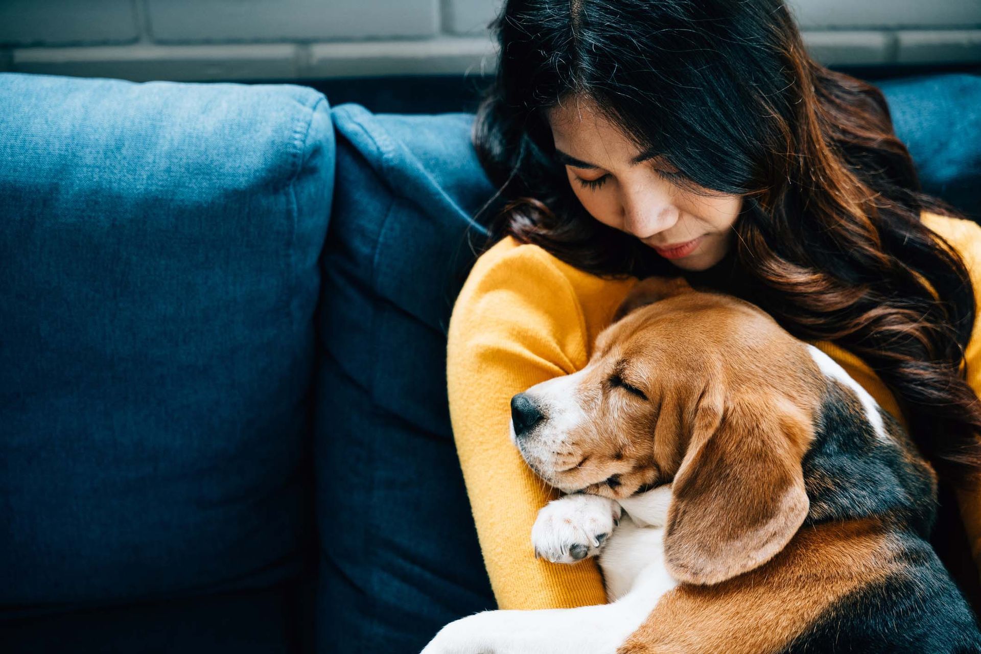A woman is sitting on a couch holding a beagle dog