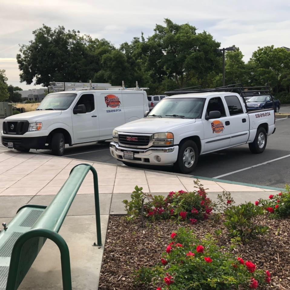 Profile picture of Reynolds Painting