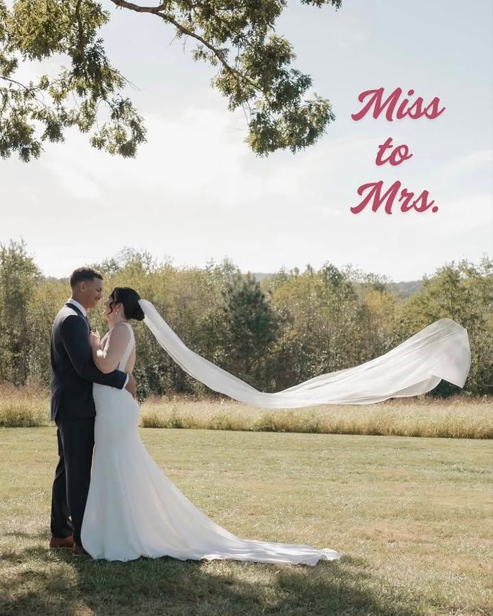The word the knot is written in black on a white background.