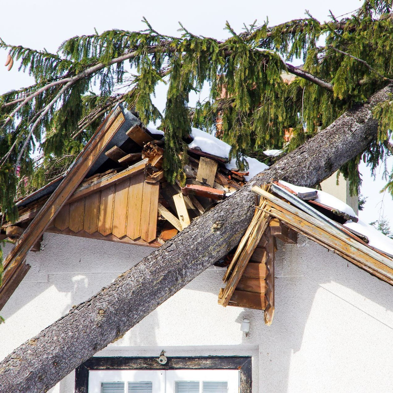 No matter the state of your house, we are here to purchase it even if there is severe damage.