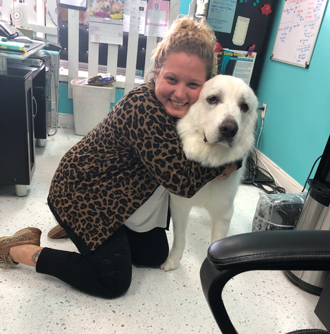 Pet Groomers – Wellington, FL - Animal Palace Pet Spa Grooming