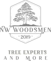 The logo for NORTHWEST WOODSMEN LLC is a tree experts and more logo.