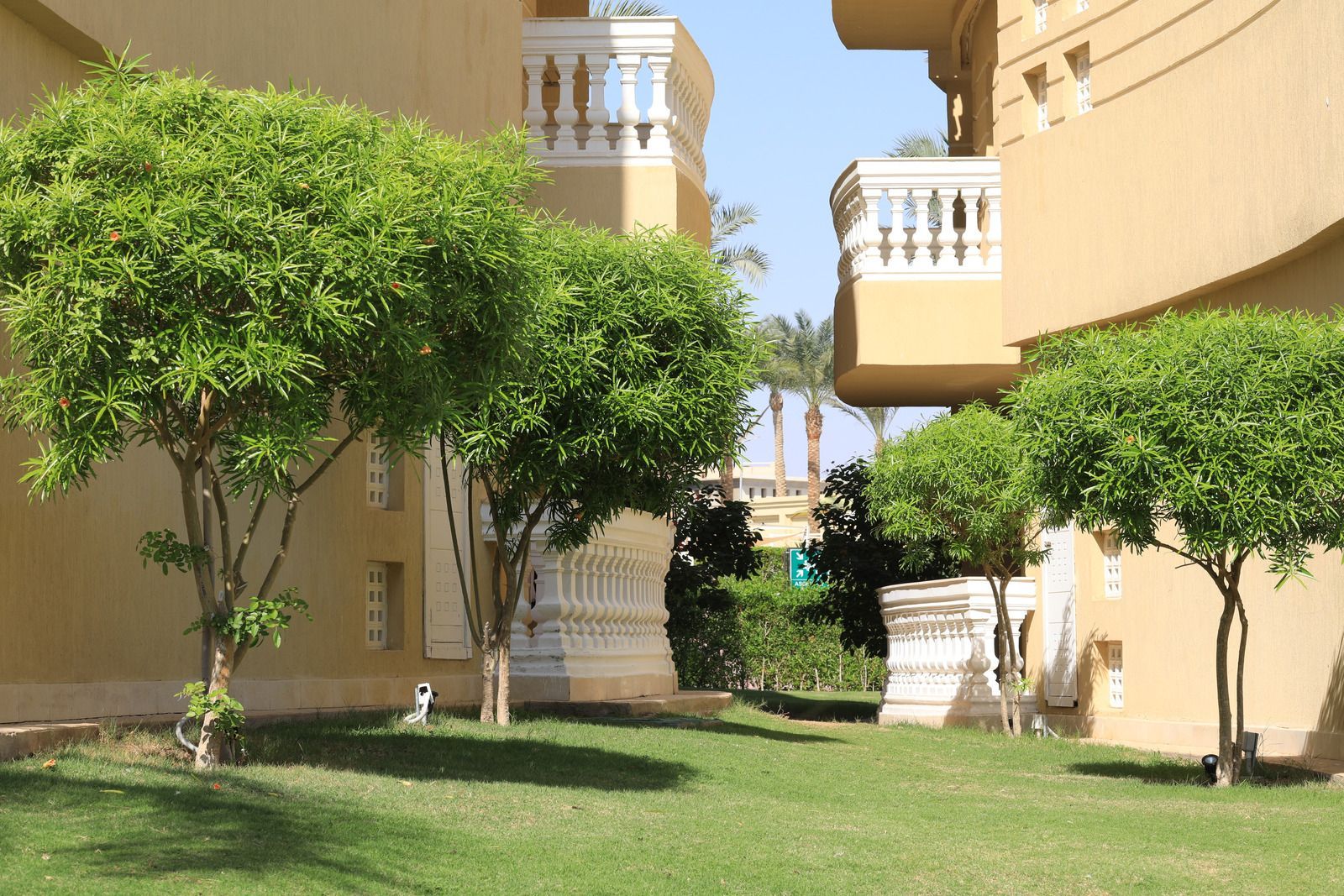 A lawn with trees in front of a building with balconies