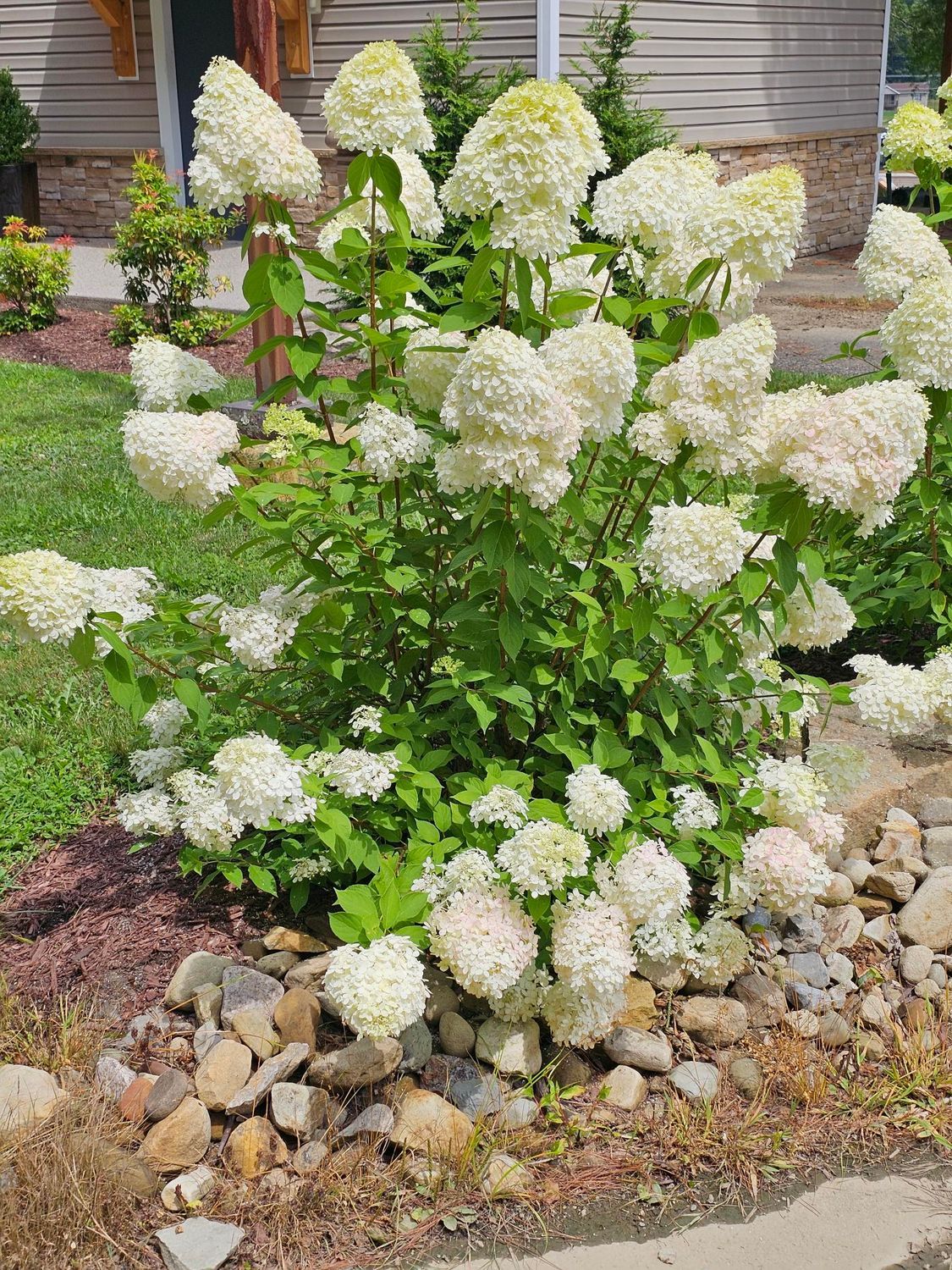 pretty flowers planted outside the rooms at Lodge at Chalk Hill