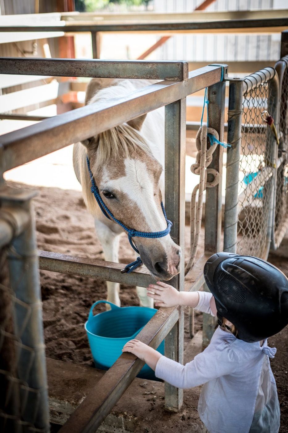 A little girl is petting a horse in a stable.