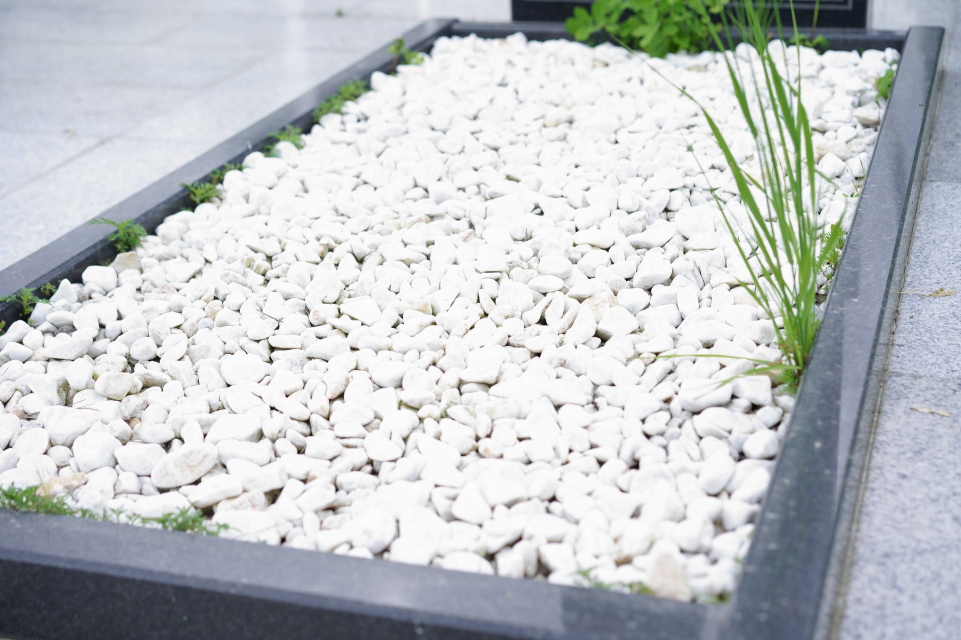 White gravel landscape design featuring stones.