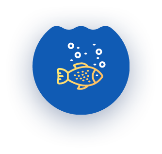 Gold fish with bubbles in blue water.