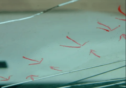 A close up of a broken windshield with red arrows on it