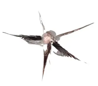 A bird is flying through a broken windshield on a white background.