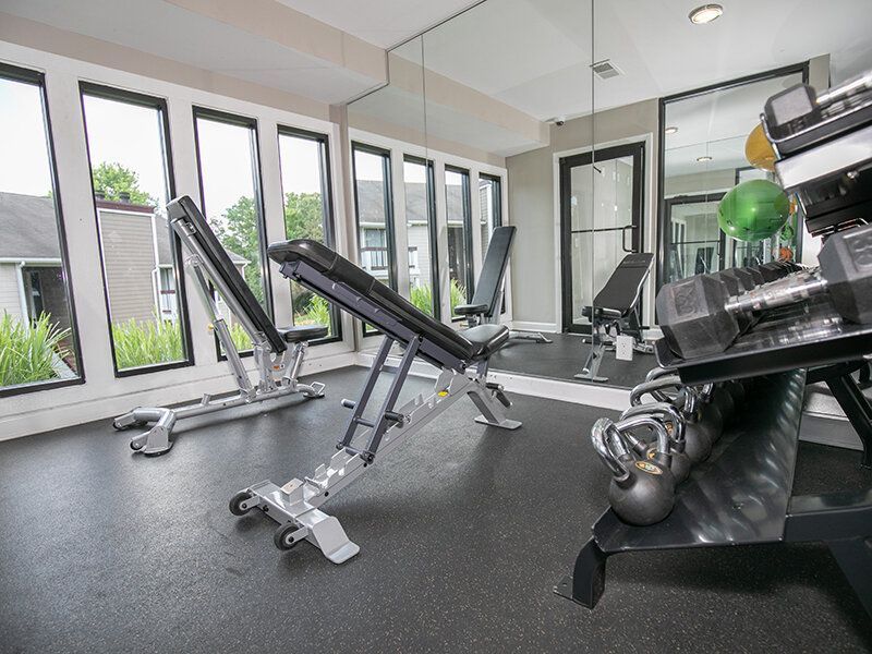 Apartment gym with benches, free weights, treadmills, and mirrors by large windows.