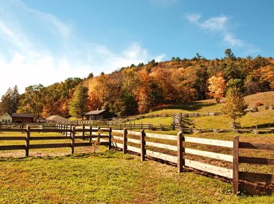 A wooden fence surrounds a grassy field with trees in the background.
