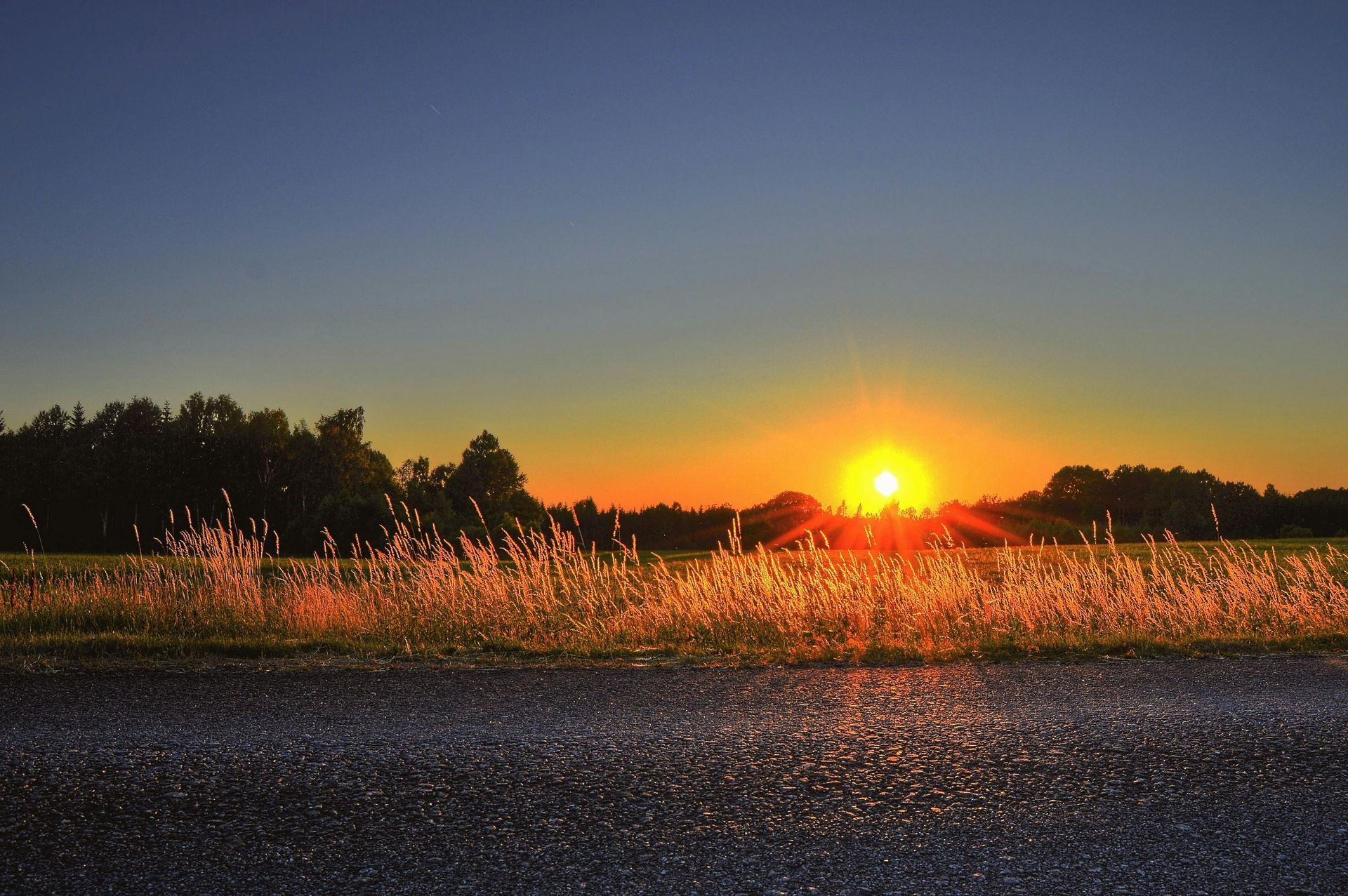 A view of field during sunrise