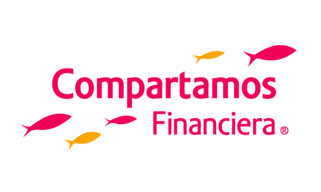 Técnicos Electricistas Ejecutores TOC