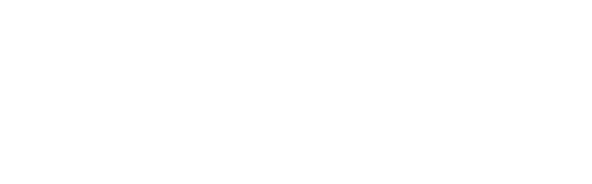 Logo de Smart Strategy