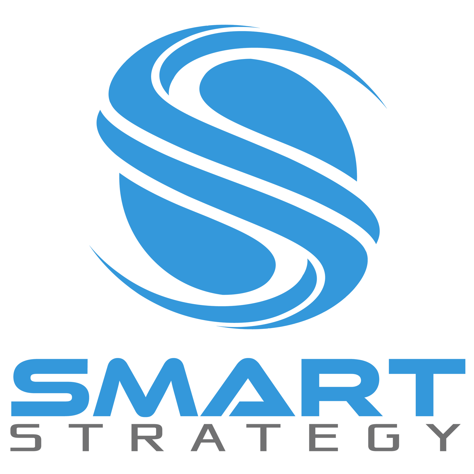 Smart Strategy Logo