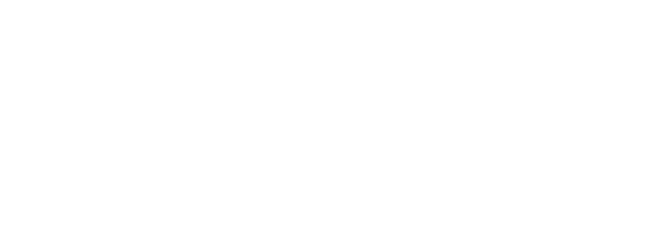 Oracle Netsuite proveedor certificado