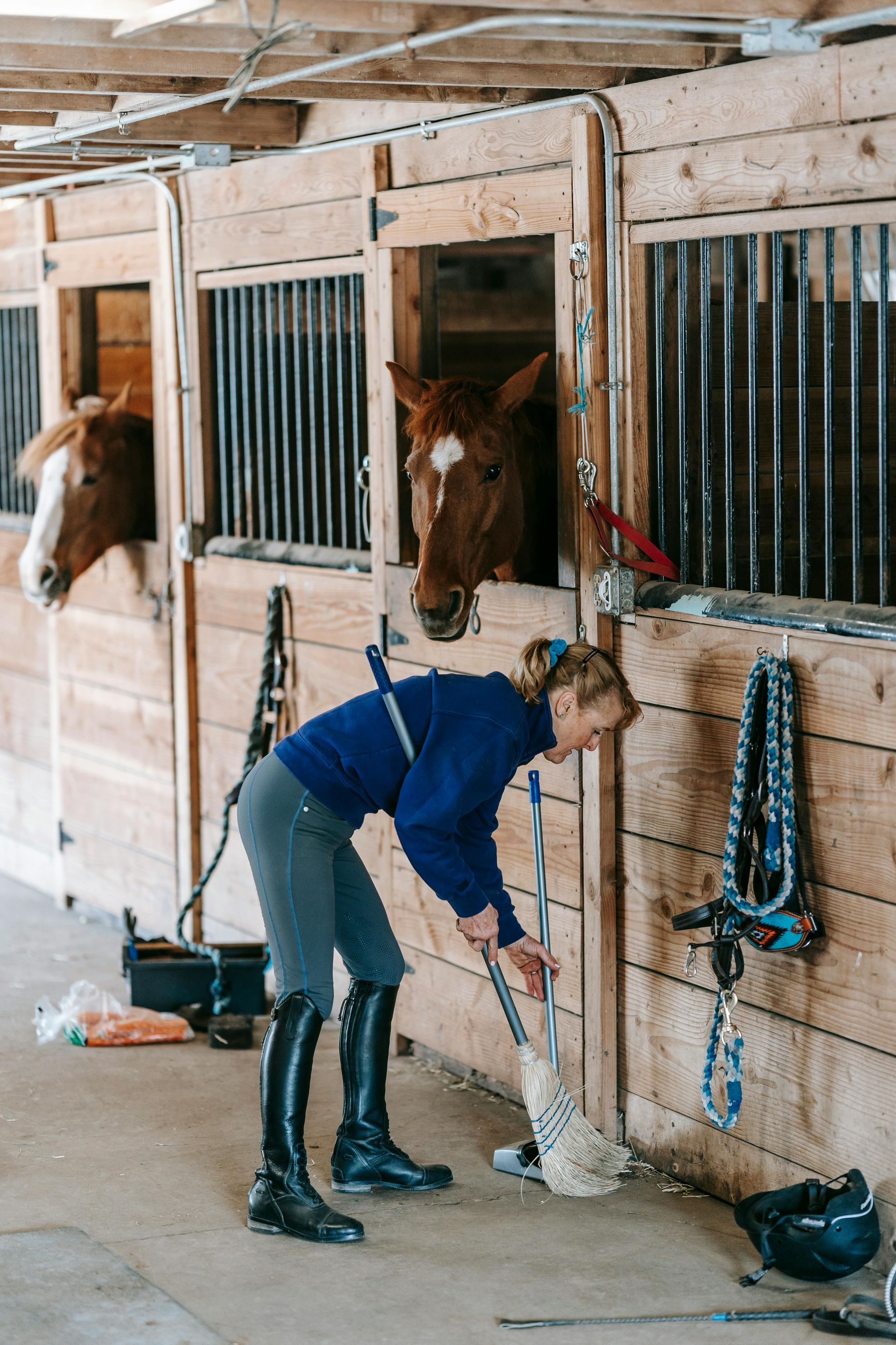 A person in a blue sweater and tall black boots mops the floor of a wooden stable, while two horses watch from their stalls.
