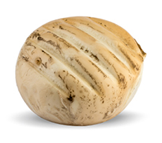 Formaggio rotondo, leggermente dorato, con segni di grigliatura diagonali sulla superficie.