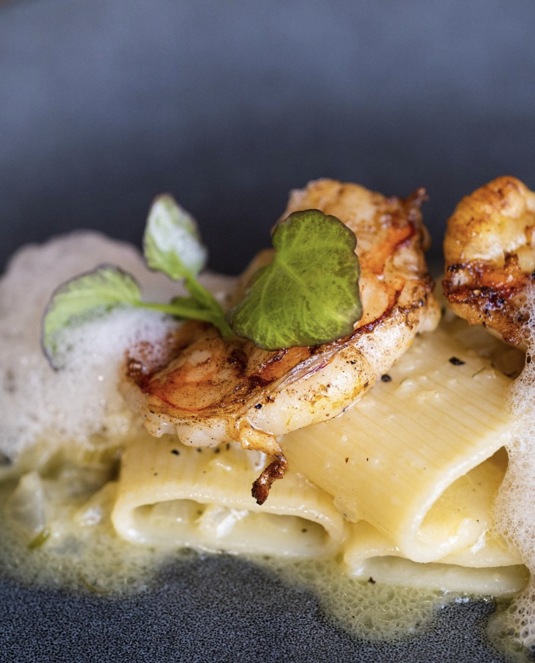 Gastronomie italienne - adagio et gusto