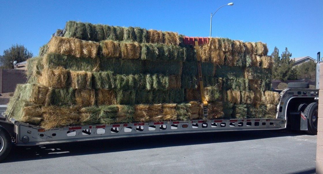 Trucking Company — Cargo Truck in Las Vegas, NV