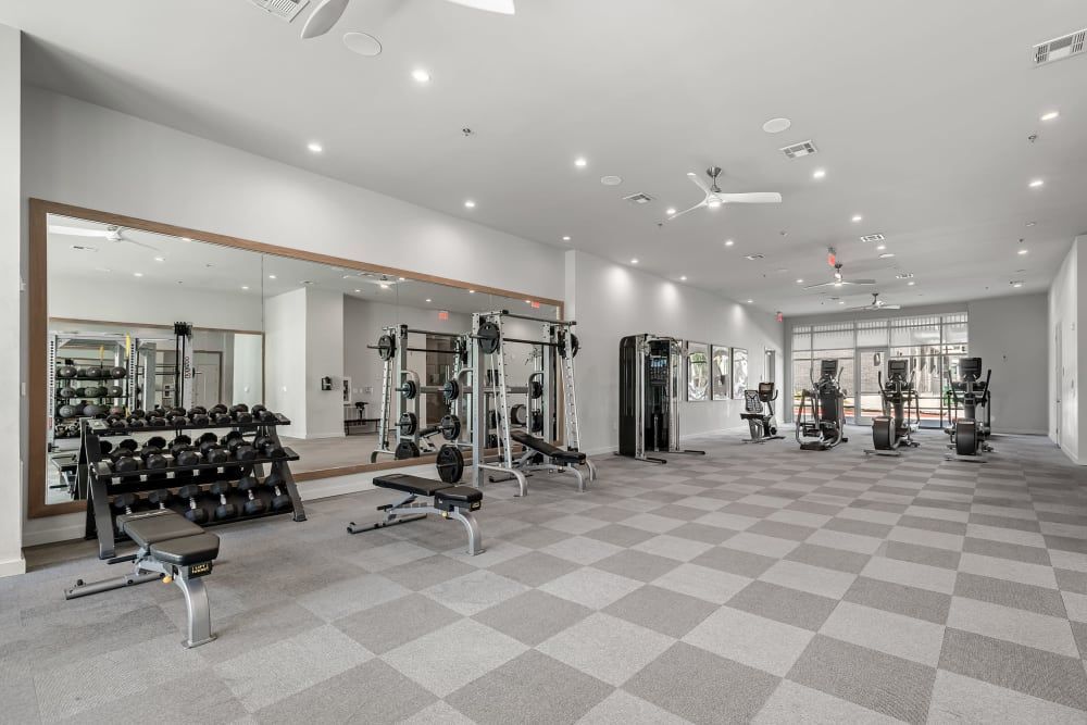 Spacious and modern gym interior with organized workout stations, including a rack of dumbbells, adjustable benches, and various exercise machines. The room has a large mirror along one wall, bright lighting, and a checkerboard pattern floor at 44 South in Austin, TX.