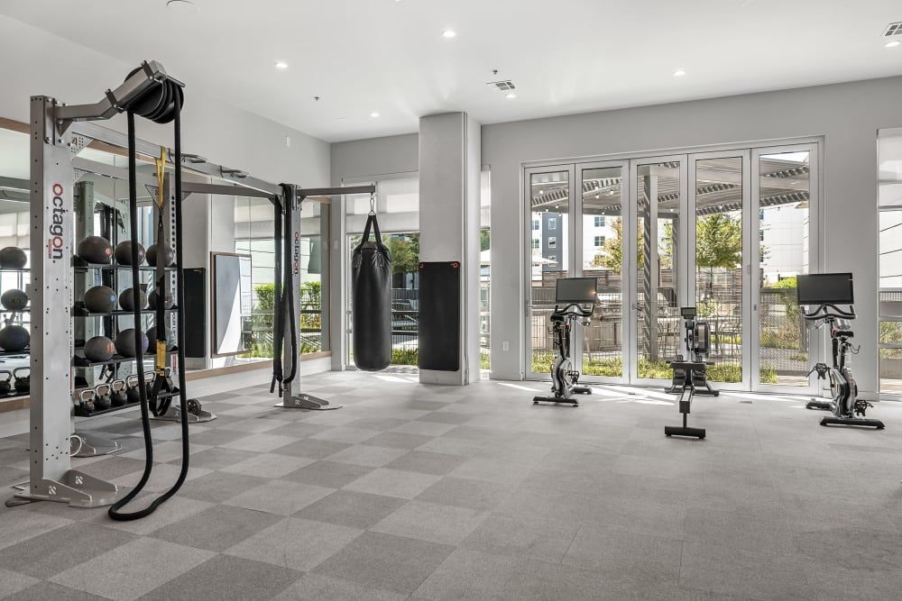 A well-lit, modern gym with large windows offering natural light. The gym features various fitness equipment, including a functional training rig with resistance bands and exercise balls, a punching bag, and several stationary bikes. The floor is tiled with a checkerboard pattern and the space is clean and unoccupied, ready for a workout session at 44 South in Austin, TX.