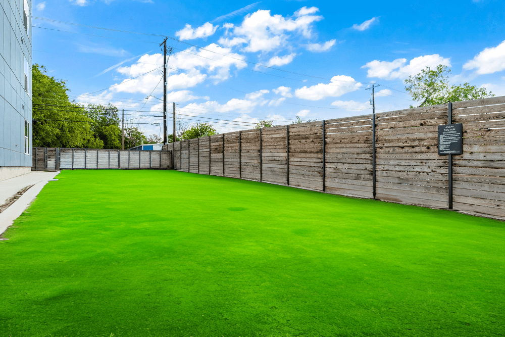 Empty outdoor dog park area with vibrant green artificial turf and a high wooden fence under a bright blue sky, with a sign on the fence and a modern building to the left at 44 South in Austin, TX.