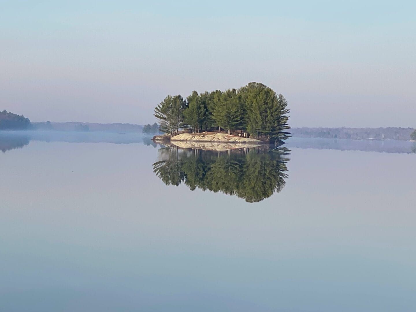 A small island in the middle of a lake with trees on it.