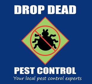 drop dead pest control experts