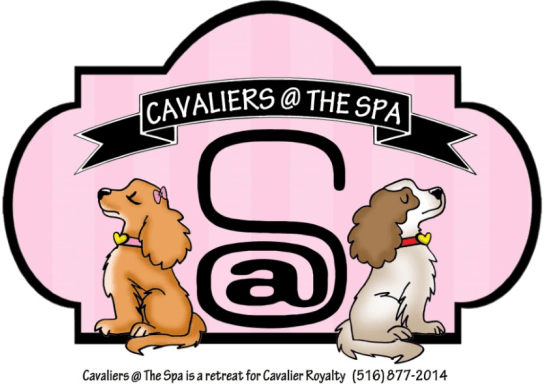 Cavaliers at The Spa