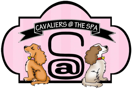 Cavaliers at The Spa