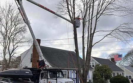 A man is cutting a tree with a crane in front of a house.