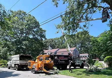 A group of trucks are parked on the side of the road in front of a house.