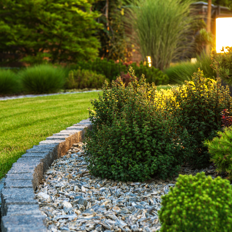 Well-manicured garden bed with green shrubs, gray stone edging, and wood mulch.
