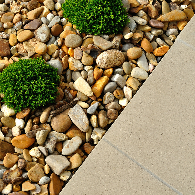 Woman in green dress, smiles at pink lotus flower outdoors.
