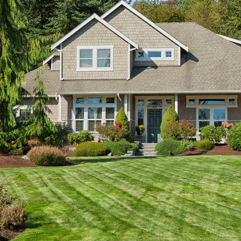 House with green lawn and landscaping. Beige siding, green door, and blue sky.