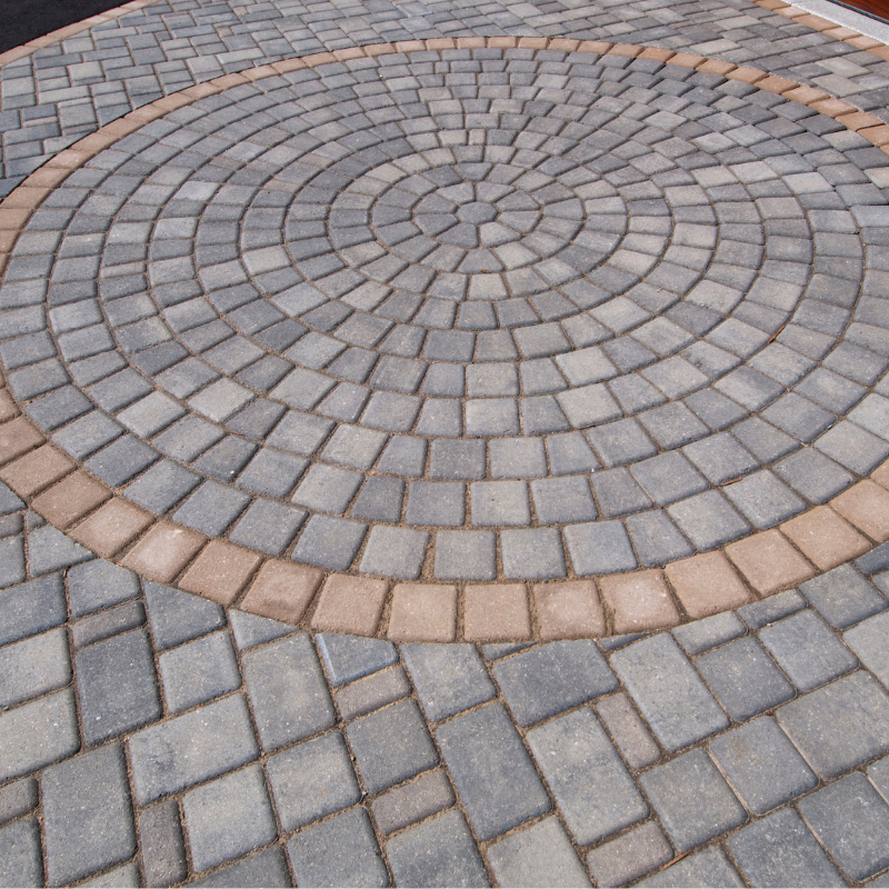 Street lined with tall palm trees and parked cars under a clear, sunny sky.