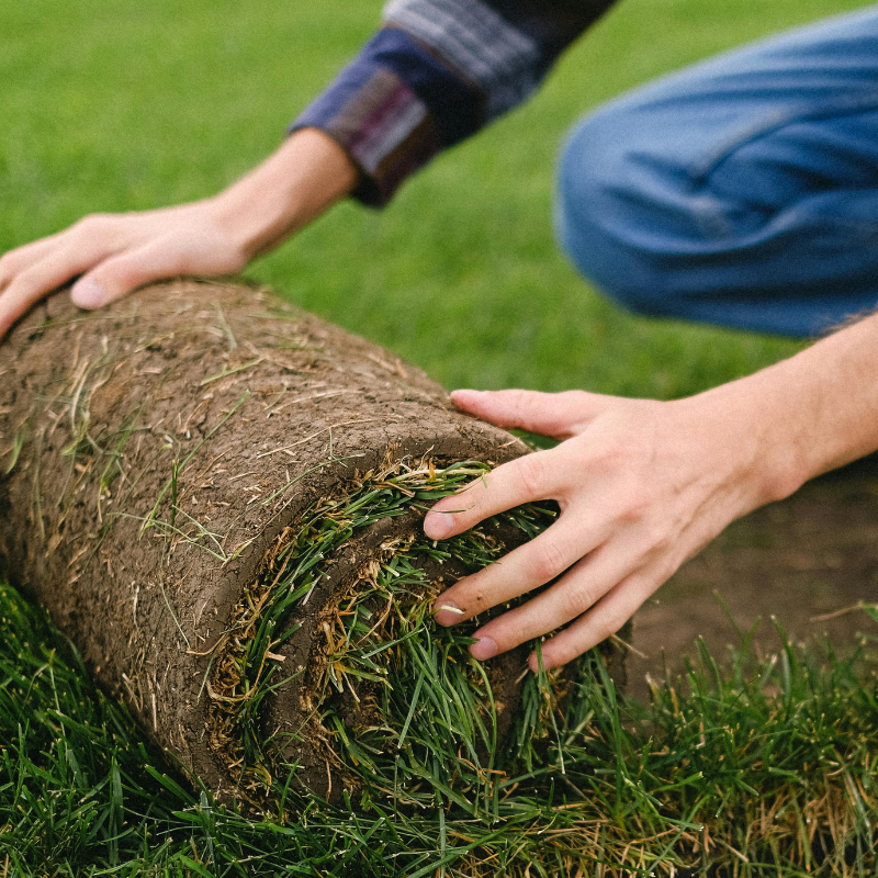 Two women at a table in a bright office, working on laptops. A sofa and chairs are nearby.