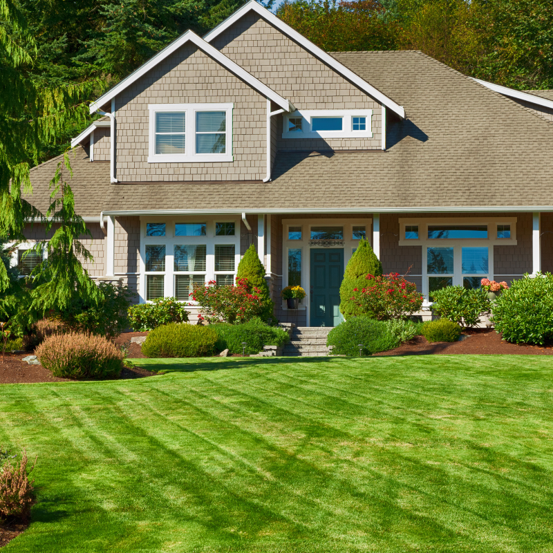 House with green lawn and manicured landscaping.
