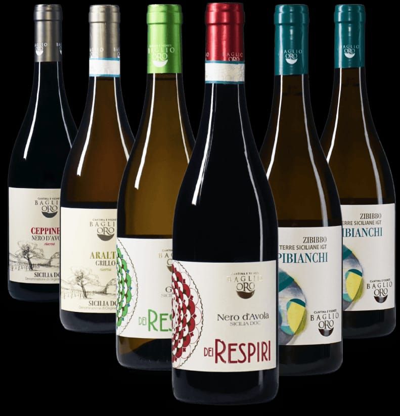 Sei bottiglie di vino con etichette e fogli di alluminio di vari colori, su sfondo nero.