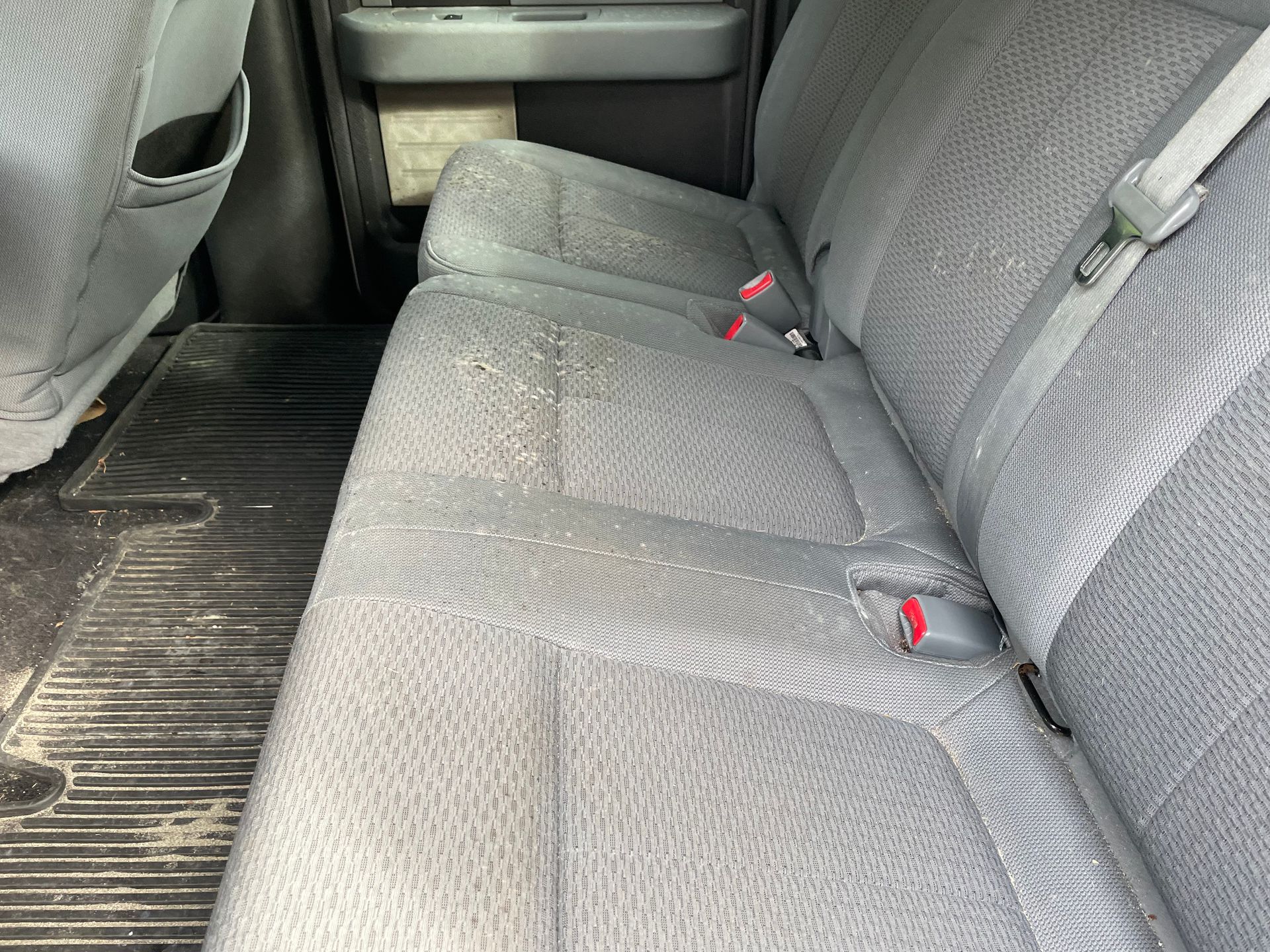 Ford F 150 Mold Removal