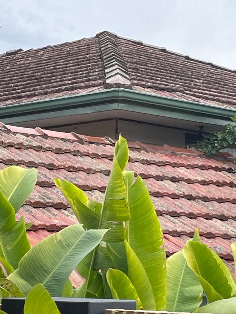 Red tiled roof with green gutters and a banana tree in front. — Gary Eslick Home Improvements In Berkeley Vale, NSW