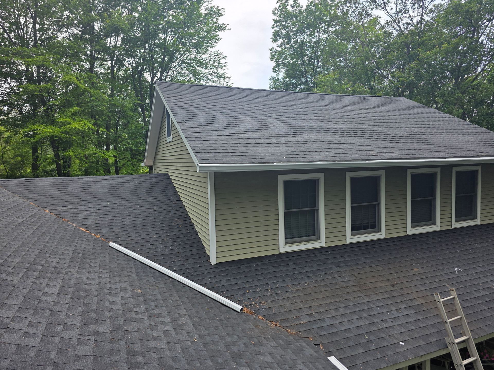 A house with a black roof and a ladder on the roof.