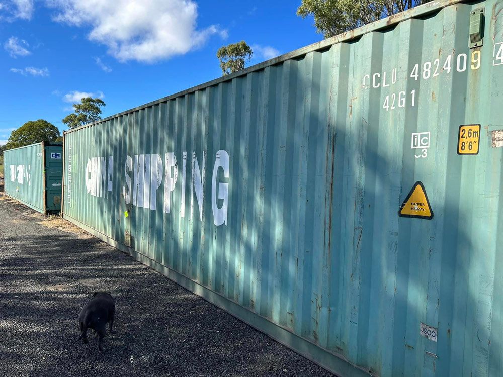 A Dog Is Standing Next To A Row Of Shipping Containers — Ries Trucking in Gowrie Mountain, QLD