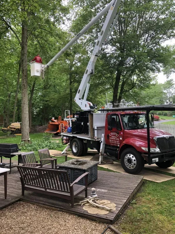A red utility bucket truck is parked on a lawn next to a deck, with a worker in the raised bucket pruning tree branches.