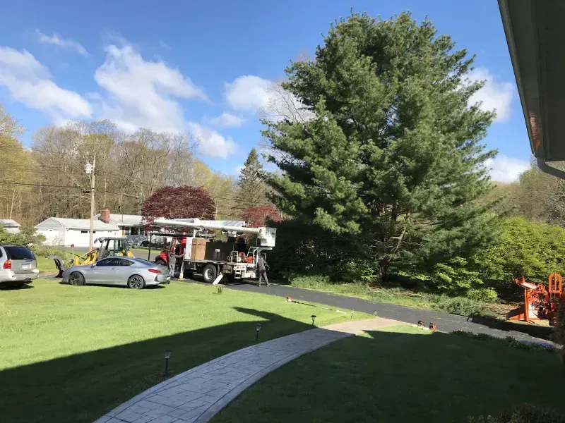 A red utility truck with an extended bucket lift raised toward tree branches, parked on a residential deck.