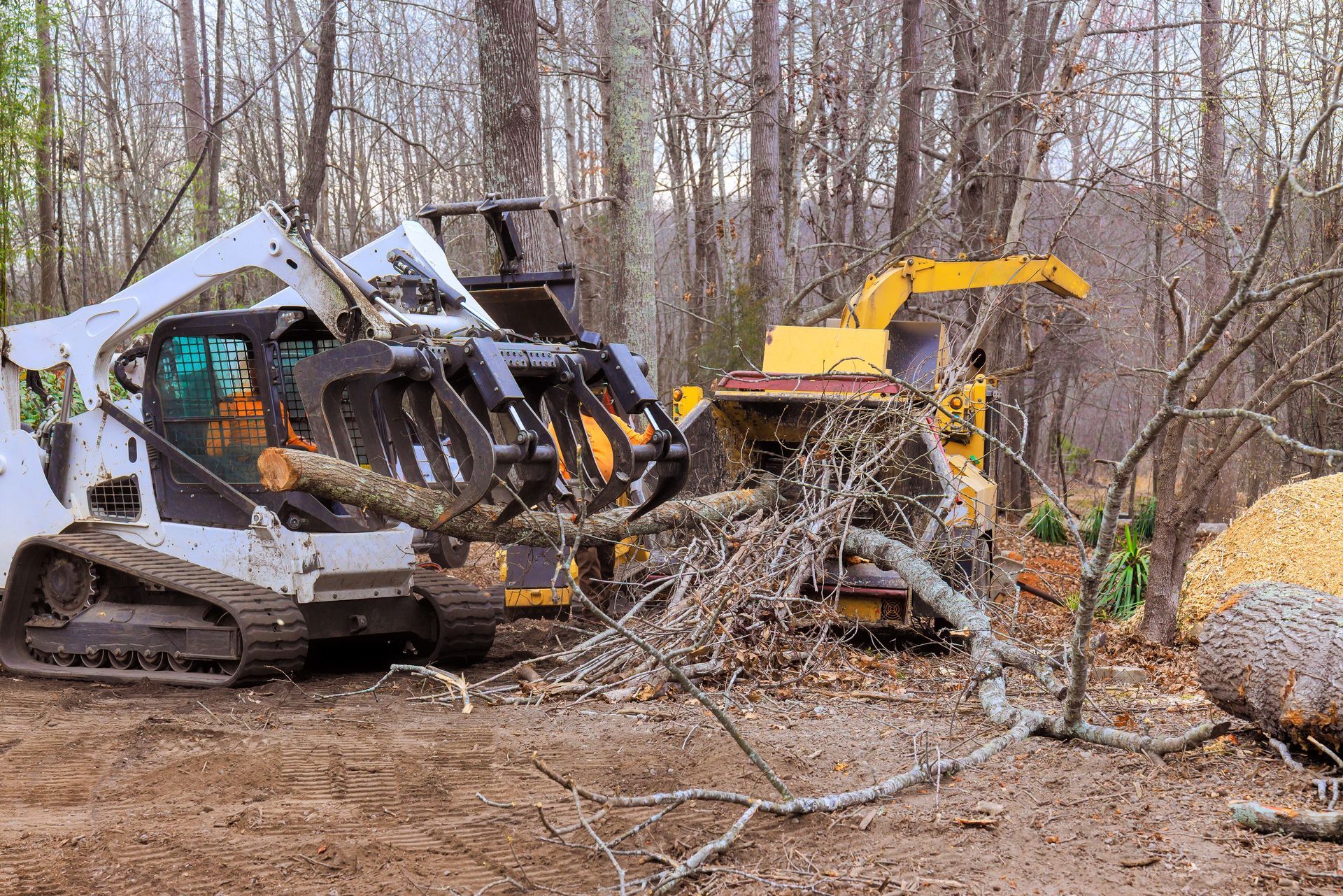 A white track loader with a grapple attachment feeds a tree into a yellow wood chipper in a wooded area.