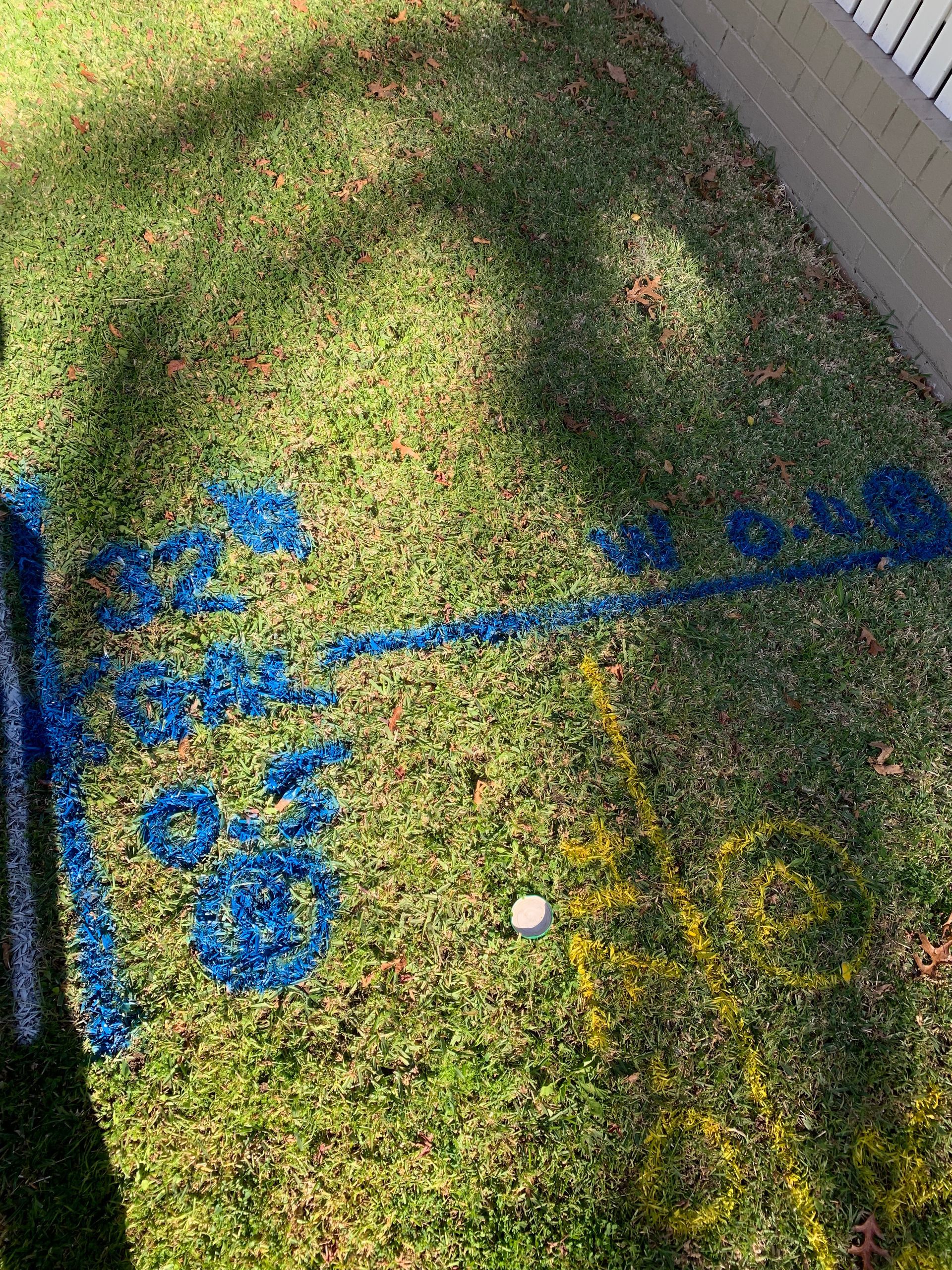 A person is standing in the grass with blue paint on it.