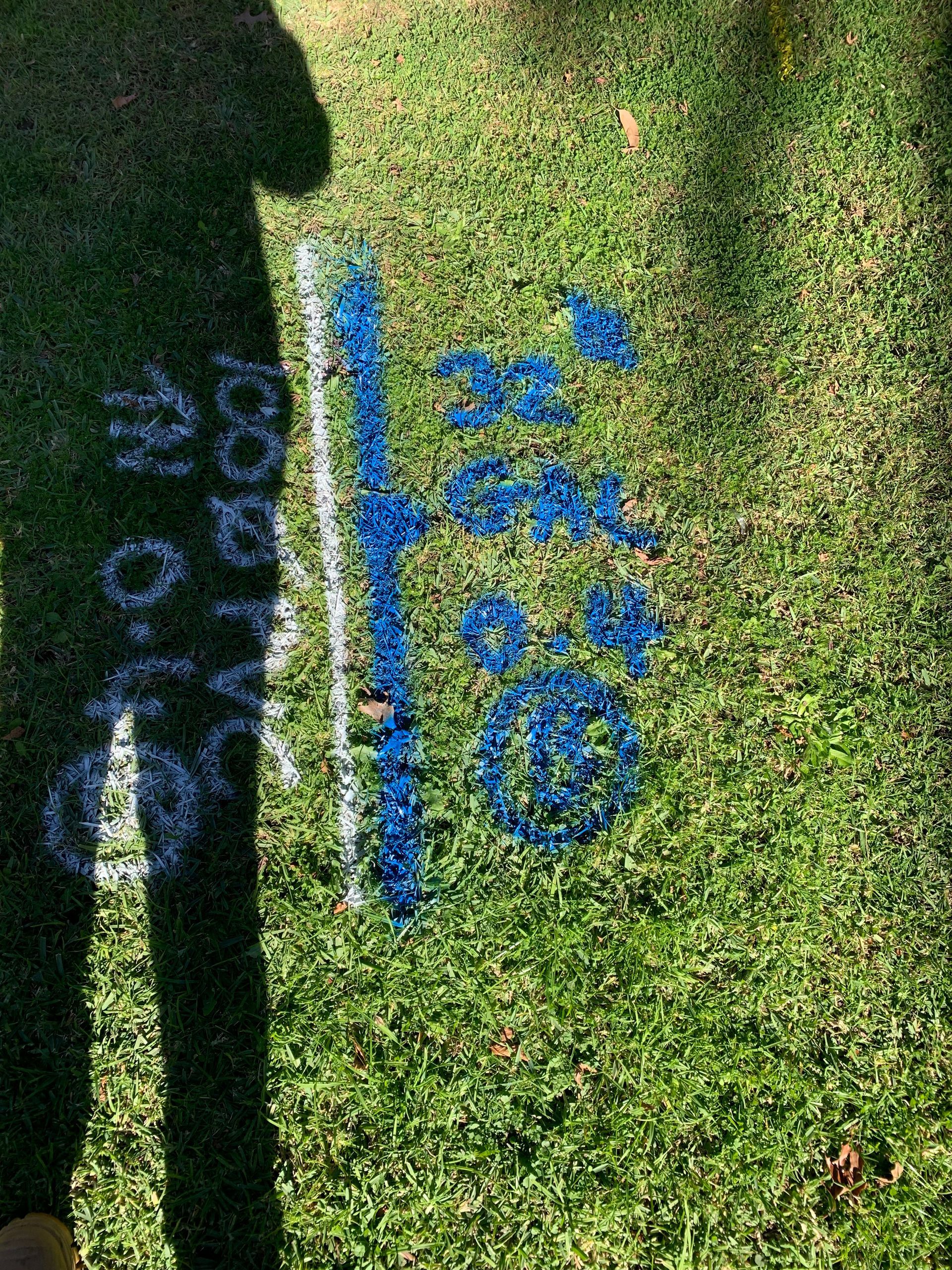 A person 's shadow is cast on a grassy field with blue chalk written on it.